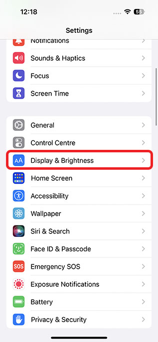 ప్రదర్శన మరియు ప్రకాశం సెట్టింగులు iphone